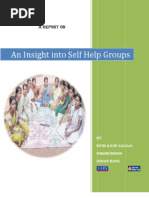 Download An Insight Into Self Help Groups by RichiSaluja SN34874115 doc pdf