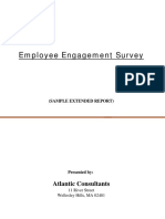 Employee Engagement Report