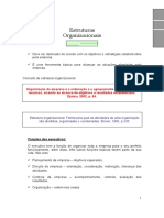 Estrutura Organizacional (1).pdf