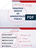 Princípios Básicos DA Administração Pública: Professor Ivan Lucas
