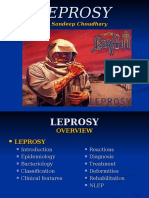 leprosy-140131074236-phpapp01