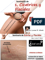 Seminario de Estrías Cicatrices y Flacidez Cutánea