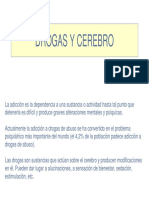 drogas-y-cerebro.pdf