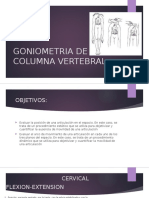 Goniometria de Columna Vertebral