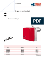 Manual Instructiuni BS D Arzator Riello PDF