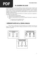 Cuaderno Clase