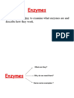Enzymes: Learning Objective: To Examine What Enzymes Are and