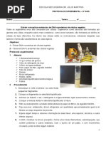 Protocolo Extração DNA