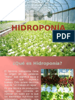 HIDROPONIA