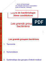 Systematique Bacterienne