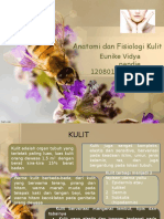 Presentasi Anatomi Dan Fisiolofi Stase Kulit