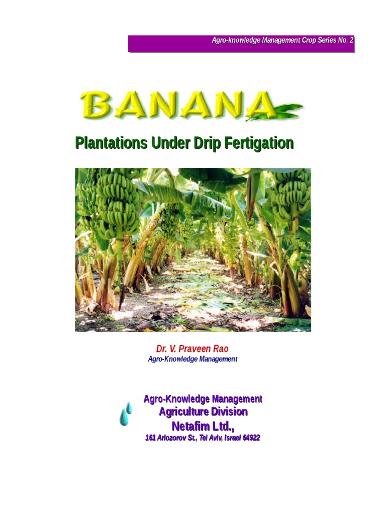 Banana Growing Manual1 NETAFIM Banana Soil