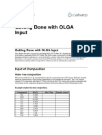 Getting Done with OLGA Input.pdf