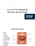 Anatomi menelan.pdf