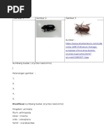 Download identifikasi Hama by Wurya N SN348838318 doc pdf