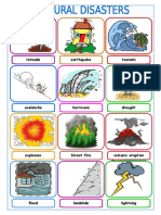 Natural Disasters Picture Dictionary