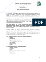 15 Practica11 PDF