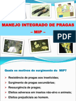 MIP - Mauri