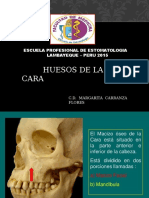 Hueso de La Cara