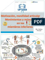 Mandala Movilidad, Músculos de Los Miembros Inferiores.