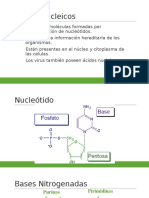 ácidos nucleicos (1)
