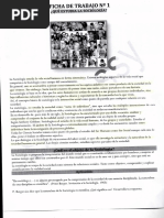 merged (2).pdf
