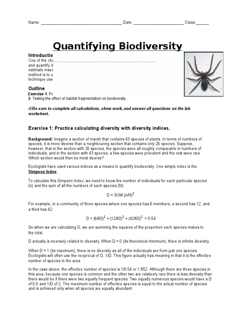 Quantifying Biodiversity Spider Lab Jatun Sacha | PDF | Biodiversity |  Habitat