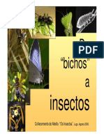 De Bichos A Insectos