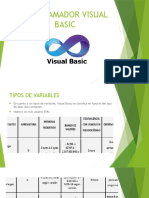 Programador Visual Basic