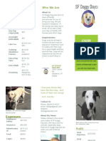 SF Doggy Daycare Brochure