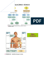 Aula 3 - Equilibrio Hidrico - 2 PDF