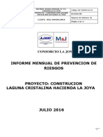 Informe Mensual SSOMA JULIO - Consorcio La Joya