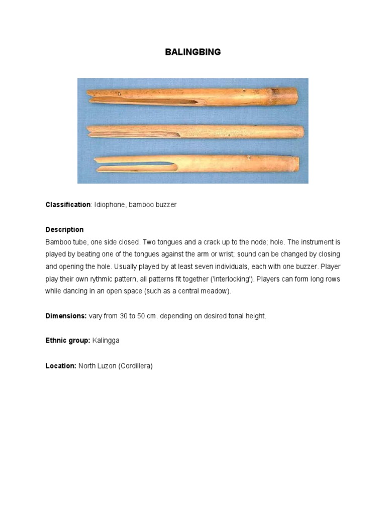 Philippine Bamboo Musical Instruments | PDF | Flute | String Instruments