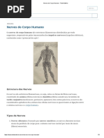 Nervos Do Corpo Humano - Toda Matéria