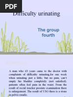 Difficulty urinating.pptx