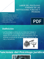 Rol Del Psicologo[1]