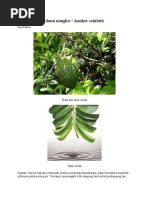 Download DaunSirsak-3doc by agus budiyono SN348888456 doc pdf