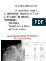 Clase 8 - Sistema Óseo Métodos y Valoración RX de La Edad Ósea