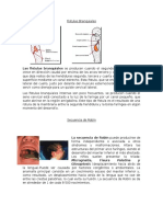 Fistulas Branquiales y Secuencia de Robin