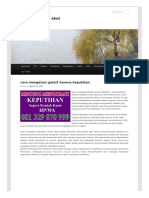 Cara Menyembuhkan Keputihan Akut PDF