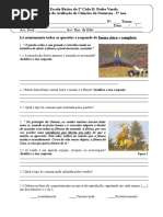 Teste (Reprodução e Plantas)