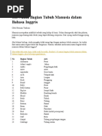 118 Nama Bagian Tubuh Manusia Dalam Bahasa Inggris