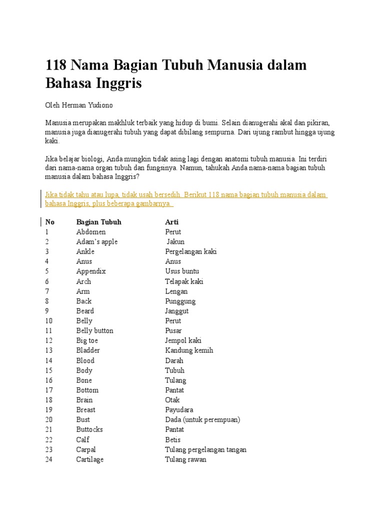 50++ Punggung dalam bahasa inggeris information