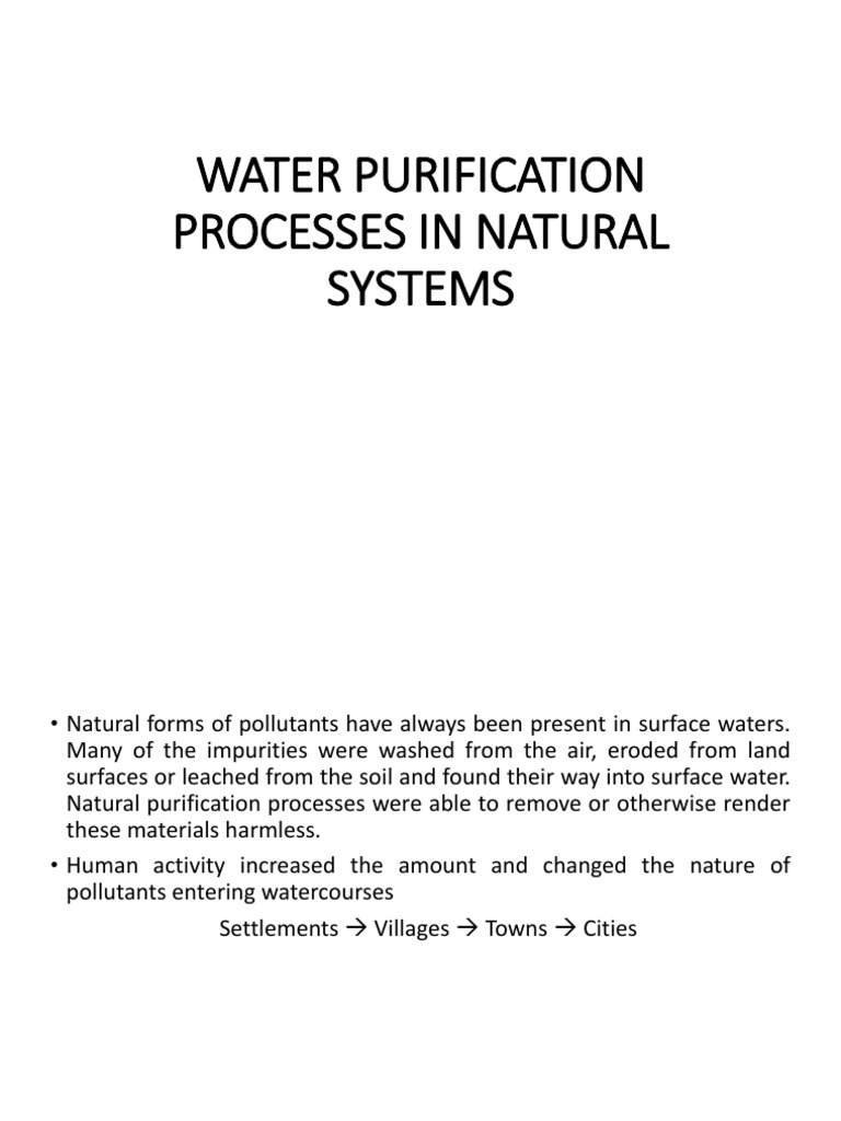 Water Purification in Natural Systems PDF Water Pollution Water