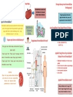 Tugas Leaflet Hemodialisa PDF