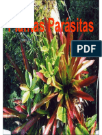 Plantas Parásitas