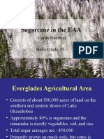 Sugar Cane EAA Overview