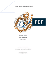 Proses Produksi β Amilase Fix