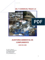 Borrador Auditoria Ambiental.pdf