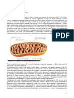 Riassunto biologia molecolare della cellula (molto bello).doc